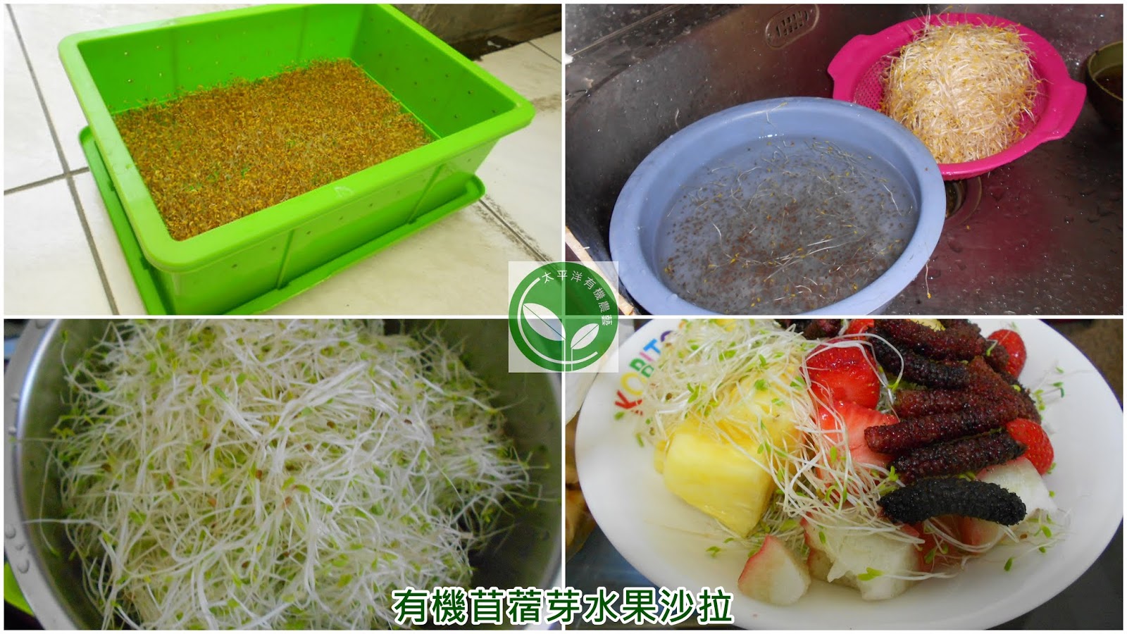 ºØ¤l¤£µoªÞ,¤ô¯ÑºØ´Ó,ªÞµæ«O¦sªk,¤ôºØµæ,¤ô¯Ñ½µæ¾÷,diyºØ¨§ªÞµæ,¹å¨§ªÞ,ªÞµæ,¦Û¤v¹å¨§ªÞ,¨§ªÞ